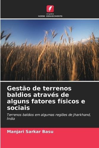 Gestão de terrenos baldios através de alguns fatores físicos e sociais