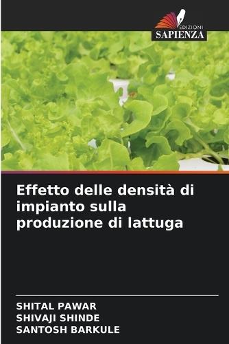 Effetto delle densità di impianto sulla produzione di lattuga