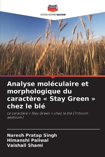Analyse moléculaire et morphologique du caractère Stay Green chez le blé