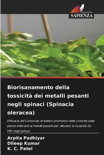 Biorisanamento della tossicità dei metalli pesanti negli spinaci (Spinacia oleracea)