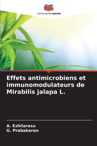 Effets antimicrobiens et immunomodulateurs de Mirabilis jalapa L.