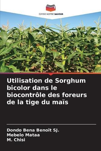 Utilisation de Sorghum bicolor dans le biocontrôle des foreurs de la tige du maïs