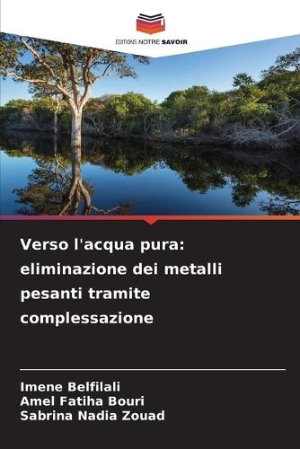 Verso l'acqua pura: eliminazione dei metalli pesanti tramite complessazione