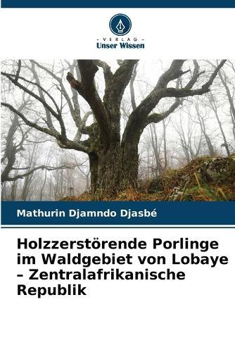 Holzzerstörende Porlinge im Waldgebiet von Lobaye - Zentralafrikanische Republik