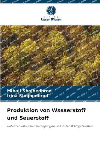 Produktion von Wasserstoff und Sauerstoff