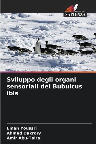 Sviluppo degli organi sensoriali del Bubulcus ibis