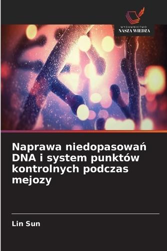 Naprawa niedopasowań DNA i system punktów kontrolnych podczas mejozy