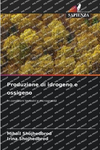 Produzione di idrogeno e ossigeno