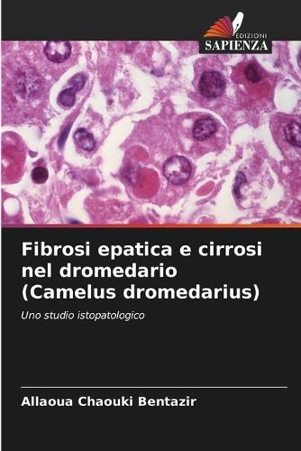 Fibrosi epatica e cirrosi nel dromedario (Camelus dromedarius)