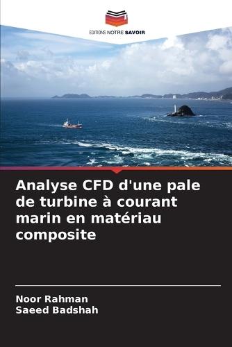 Analyse CFD d'une pale de turbine à courant marin en matériau composite