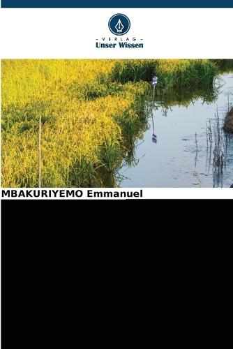 Die Auswirkungen des Kamiranzovu-Flusses auf den Reisanbau