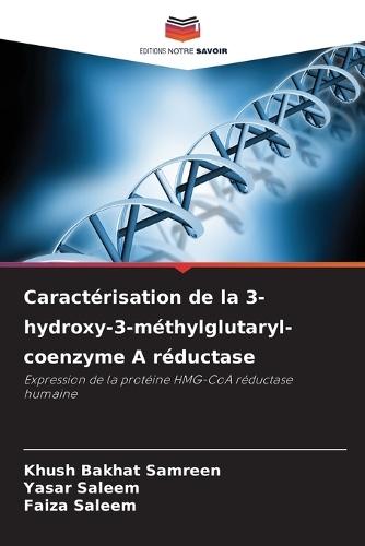 Caractérisation de la 3-hydroxy-3-méthylglutaryl-coenzyme A réductase