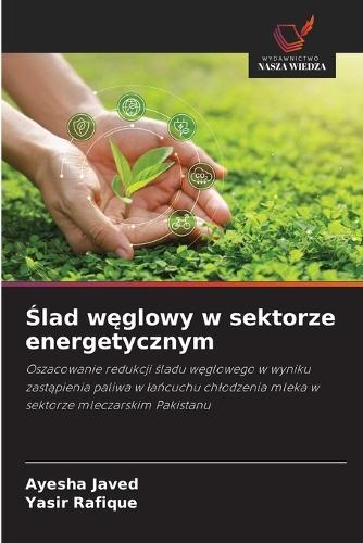 Ślad węglowy w sektorze energetycznym