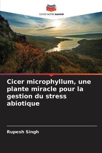 Cicer microphyllum, une plante miracle pour la gestion du stress abiotique