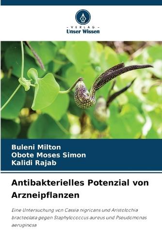 Antibakterielles Potenzial von Arzneipflanzen