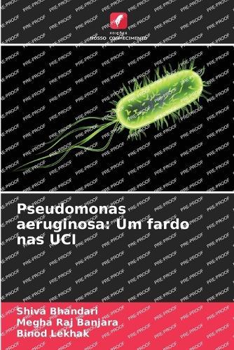 Pseudomonas aeruginosa: Um fardo nas UCI