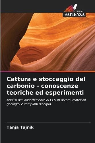 Cattura e stoccaggio del carbonio - conoscenze teoriche ed esperimenti
