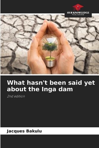 What hasn't been said yet about the Inga dam