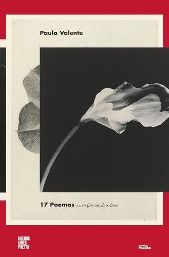17 poemas y una canción de amor