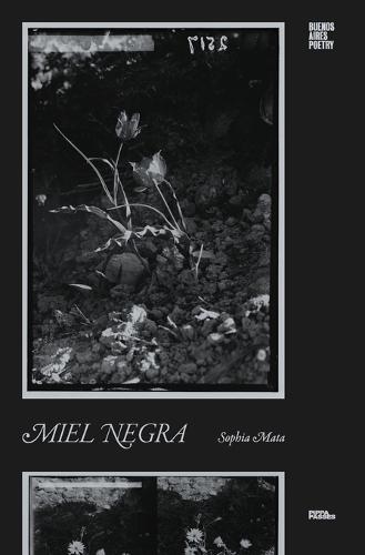 Miel Negra