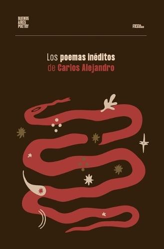 Los poemas inéditos de Carlos Alejandro