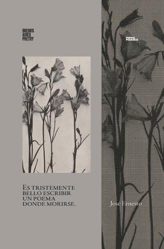 Es tristemente bello escribir un poema donde morirse.