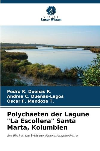 Polychaeten der Lagune ""La Escollera"" Santa Marta, Kolumbien