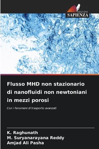 Flusso MHD non stazionario di nanofluidi non newtoniani in mezzi porosi