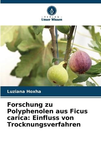 Forschung zu Polyphenolen aus Ficus carica: Einfluss von Trocknungsverfahren