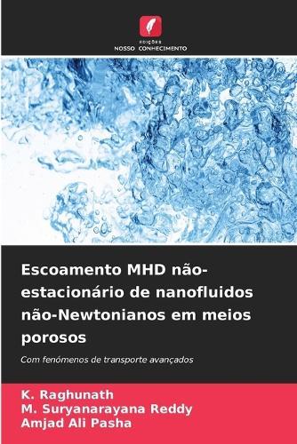 Escoamento MHD não-estacionário de nanofluidos não-Newtonianos em meios porosos