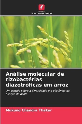 Análise molecular de rizobactérias diazotróficas em arroz