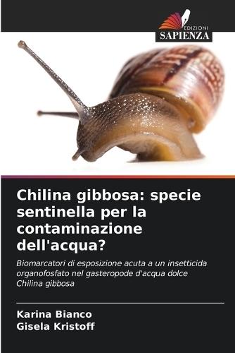 Chilina gibbosa: specie sentinella per la contaminazione dell'acqua?