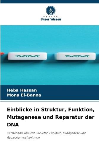 Einblicke in Struktur, Funktion, Mutagenese und Reparatur der DNA
