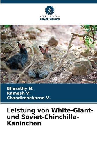Leistung von White-Giant- und Soviet-Chinchilla-Kaninchen