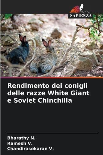 Rendimento dei conigli delle razze White Giant e Soviet Chinchilla