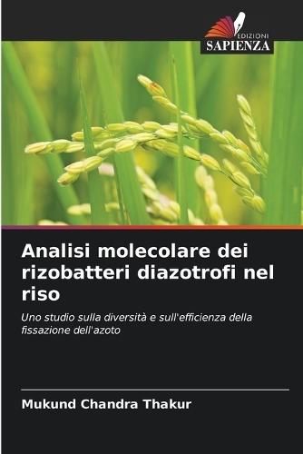 Analisi molecolare dei rizobatteri diazotrofi nel riso