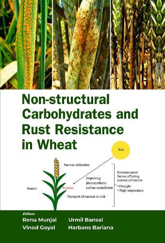 Non-Structural Carbohydrates  and Rust Resistance in Wheat