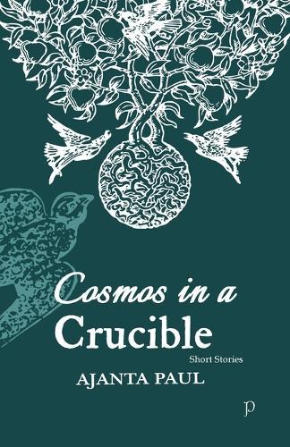 Cosmos in a Crucible (EditionFirst)