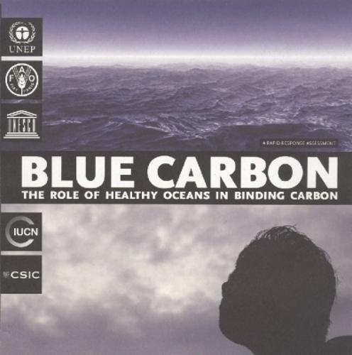 Blue Carbon: The Role of Healthy Oceans in Binding Carbon, a Rapid Response Assessment