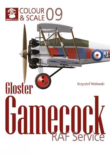 Colour & Scale No. 09 Gloster Gamecock