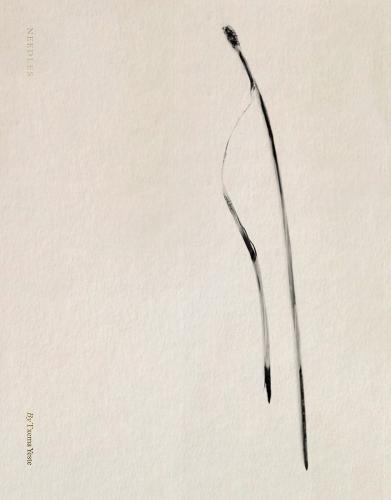 Txema Yeste: Needles