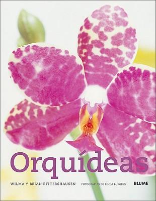 Orquideas