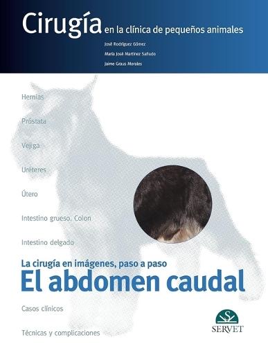 El Abdomen Caudal. Cirugía En La Clínica de Pequeños Animales