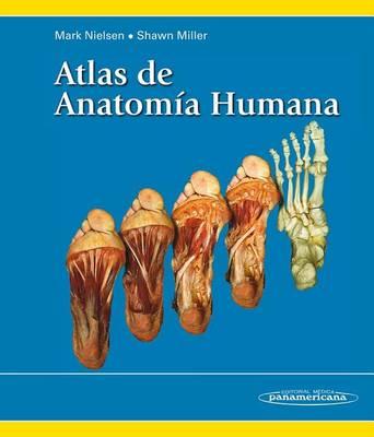 Atlas de Anatomia Humana