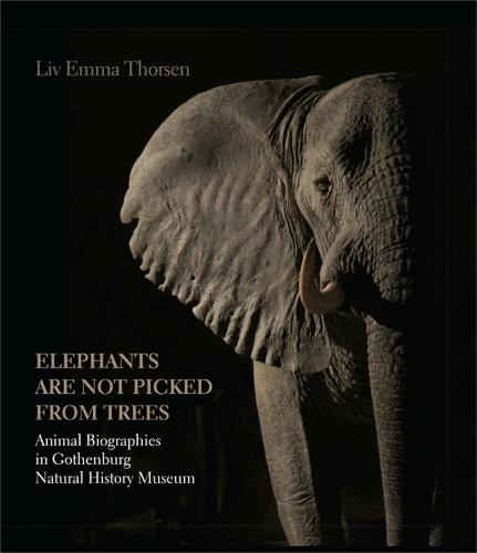 Elephants Are Not Picked from Trees: Animal Biographies in the Gothenburg Museum of Natural History