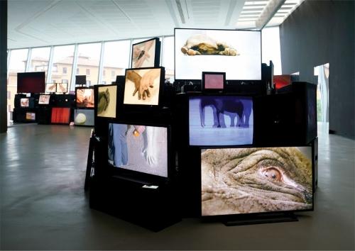 Douglas Gordon: Pretty much every film and video work from about 1992 until now’ish…