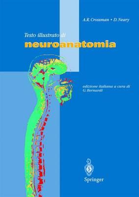 Testo Illustrato Di Neuroanatomia: Atlante a Colori