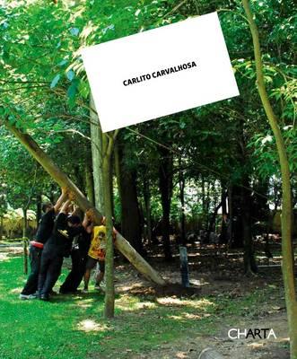 Carlito Carvalhosa: Nice to Meet You