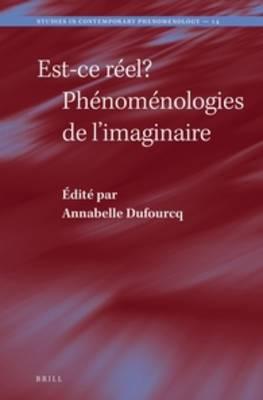 Est-ce réel? Phénoménologies de l’imaginaire