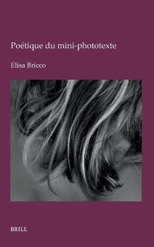 Poétique du mini-phototexte